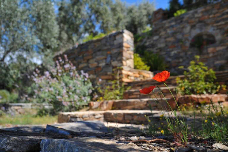 AAA Landscaping - BlackPages
